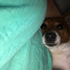 Meet your Posher, Della